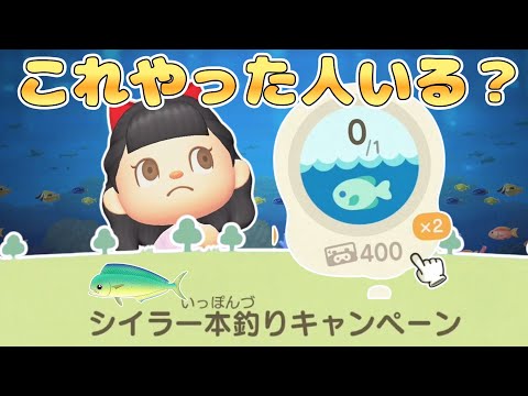 【終われません】シイラ一本釣りキャンペーンが出たのでまきエサ何個で釣れるかやってみた【あつ森ゆっく実況】