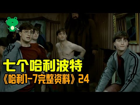 【细品哈利24】《哈学》深度解析 | 波特转移之战