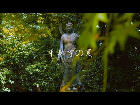 [Summer at Heirinji Temple] Stroll around nearby Heirinji Temple during lunch break.