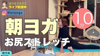 【毎日10分】朝ヨガオンライン お尻ストレッチ