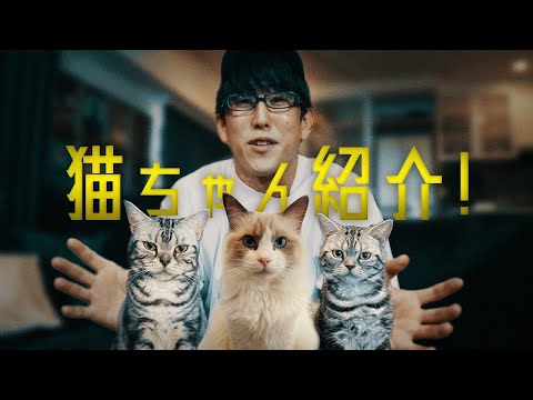 猫ちゃん紹介動画！