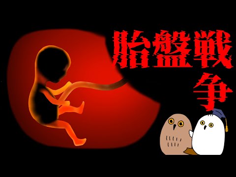 【ゆっくり解説】胎盤のウィルス進化：母・子・父の闘い【 進化論 / 科学 / 性教育 】