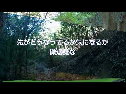 羽黒山権現神社（羽黒神社）　林道は撤退