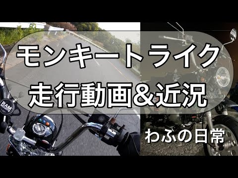 モンキートライク　走行動画＆近況