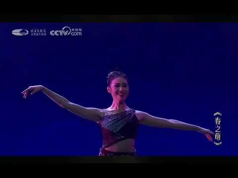 Chinese  dance tutorial【傣族女子独舞】 《春之萌》