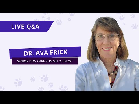 Senior Dog Care Summit 2.0 Day 3 Live Q&A with Dr. Ava Frick