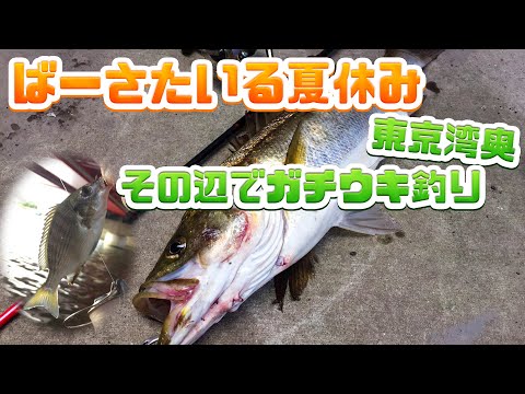 ばーさたいる夏休み・東京湾奥ガチウキ釣り編