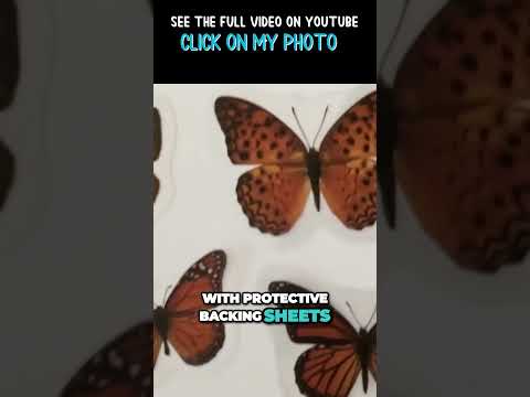 How to take the backing off the Realistic Butterfly P.E.T. Stickers & they're on sale!