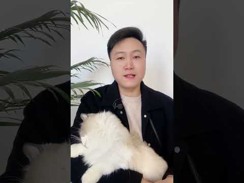 猫咪上床睡觉的好处。 你不会还不知道吧。新手养猫 养猫人 科学养宠攻略 养猫经验分享  养猫知识