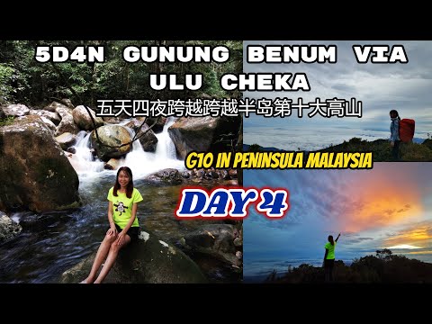 5D4N Gunung Benum via Ulu Cheka Day 4 五天四夜跨越马来西亚半岛第十大最高山峰文龙山之第四天 下山下到怀疑人生