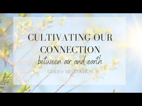 Cultivating Our Connection Between Air and Earth | Cultivate Your Wellness | A Guided Meditation