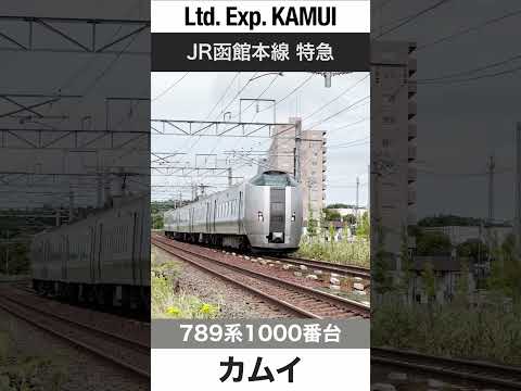 【高速通過】JR函館本線森林公園駅を通過する特急カムイ【電車が大好きな子供向け】Japanese Trains for Kids - Limited Express KAMUI