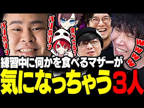 【VALORANT】練習中に何かを食べまくるマザー3がどうしても気になる三人称www【三人称/ドンピシャ/ぺちゃんこ/鉄塔/きなこ/rion/mother3 /まざさんぽりおん/切り抜き】