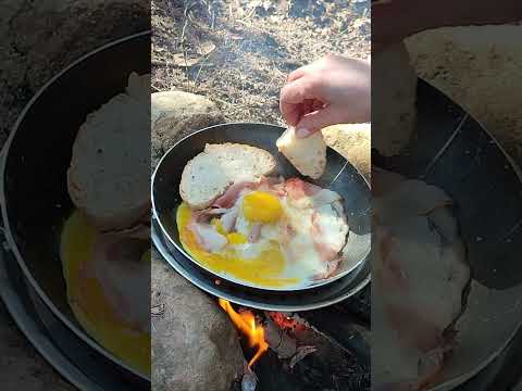 Camping fire cooking in the forest #outdoors #forestcamping #campfire #campfirecooking