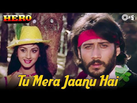 Tu Mera Jaanu Hai Tu Mera Dilbar | Jackie Shroff | Meenakshi Sheeshadri | Anuradha Paudwal