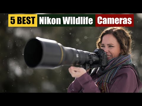 Best Nikon Wildlife Cameras of 2025