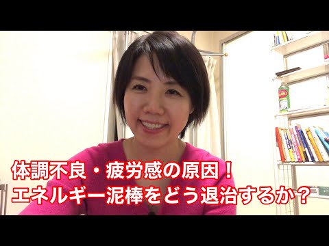 No.8【疲労感・体調不良の原因！エネルギー泥棒をどう退治するか？】