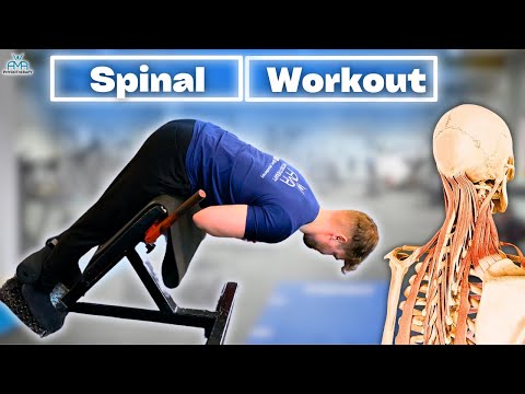 Physio Shares The Ultimate Spinal Exercises!