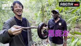 【ひろゆき vs アフリカ地元民も恐れる巨大ヤスデ】ジャングルで危険生物に遭遇｜『世界の果てに、ひろゆき置いてきた』ABEMAで無料配信中！