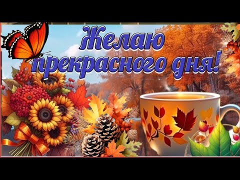 Желаю море положительных эмоций, тепла и света 🌤🍁🎶~МУЗЫКАЛЬНОЕ ПОЖЕЛАНИЕ~Музыкальная открытка