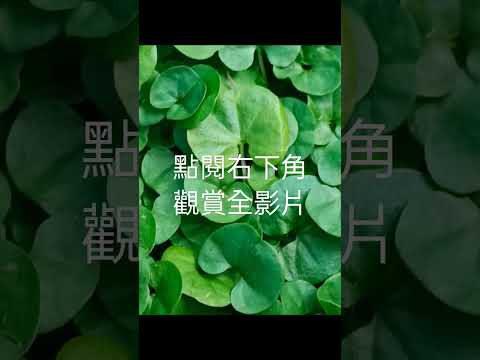 農民當野草，中醫當它是寶