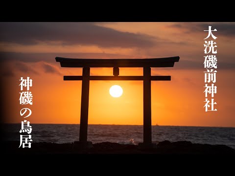 【絶景茨城】神磯の鳥居が神々しい！国営ひたち海浜公園の赤いコキアも美しい！