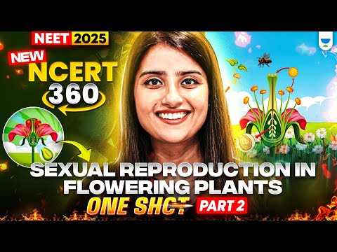 NEET 2025 Biology: Sexual Reproduction in Flowering Plants | NCERT 360° Word-by-Word | Seep Pahuja