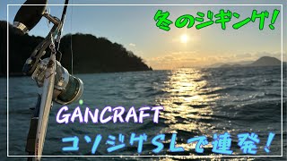 【ジギング】GANCRAFT コソジグ セミロング 連発！【オフショア】