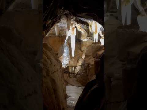 The largest stalactite in Ohio Caverns, Crystal King, stands 5 feet tall and is 200,000 years old!