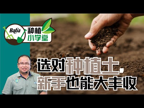 【Baba种植小学堂】蔬菜种植土怎样选？同是蔬菜，叶菜和瓜果的种植土分别需要内含什么成分？| 有机种植土壤