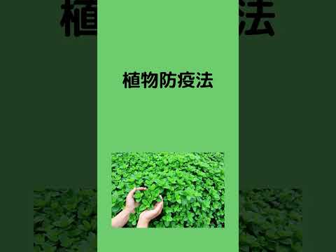 #法律 #条文読み上げ #法務 #植物