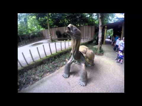 2016 05 01 VC at Singapore Zoo