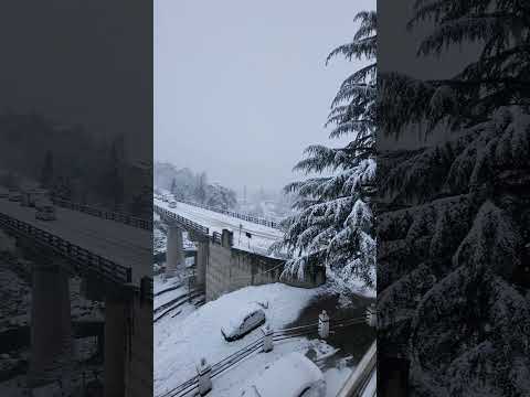 Manali Snowfall ❄️#manali #snowfall #2024