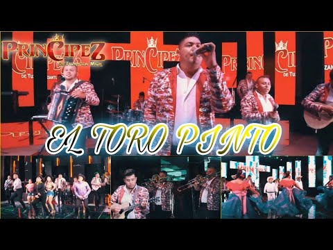 El Toro Pinto / Príncipez De Tuzantla Mich. / Sesión En Vivo 2021