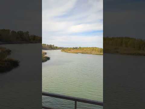 Crossing the Siret River by bus at Cosmesti, Romania #shorts #travel #river #romania #countryside