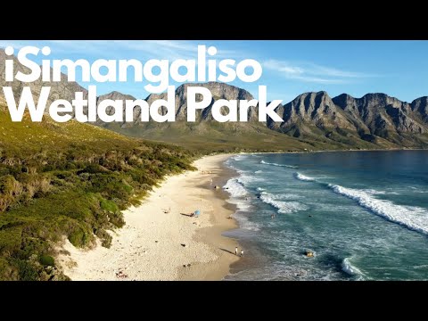 Exploring iSimangaliso Wetland Park: South Africa's Hidden Gem