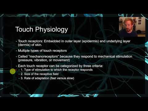 PSYC 359: Chapter 13: Touch (mechanoreceptors, pain, phantom limb, rubber hand illusion, S1)