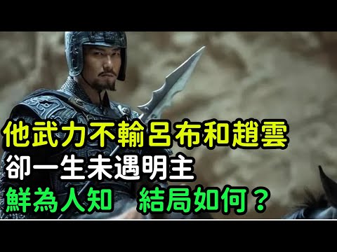 他武力不輸呂布和趙雲，卻一生未遇明主，鮮為人知，結局如何？【小菲扒歷史】 #歷史#歷史故事 #古代曆史#歷史人物#史話館#歷史萬花鏡#奇聞#歷史風雲天下