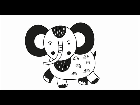 Black & White animals | High Contrast Baby Sensory fun video | Mozart classical music | Tummy time