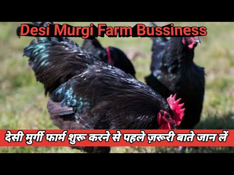 Desi Murgi Farm Bussiness || How To Start Poultry Farm