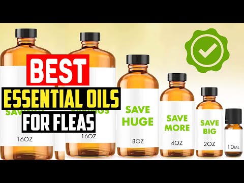 ✅Top 5 Best Essential Oils for Fleas in 2023