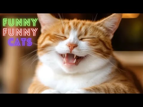 Funny Cat Videos Try Not To Laugh ● Funny Cat Videos Compilation ● Funny Cat Videos on Youtube #133