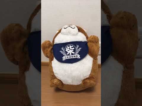 サンド〜バッグに、うかんだ〜、ピエール〜^_^