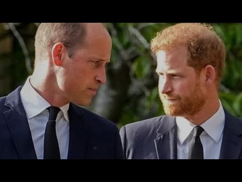 Prince Harry's Shocking Revelation: Physical Attack by Prince William