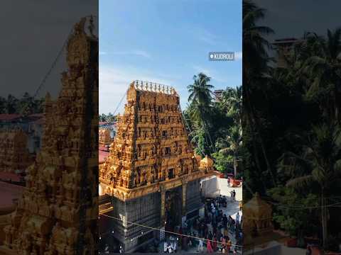 Mangalore Dasara 2024 #shorts #shortsfeed #viralvideo #trending #navratri #dussehra #dasara #like