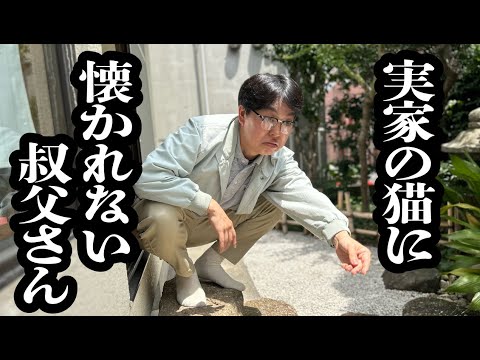 実家の猫にずっと懐かれない叔父さん【ジェラードン】