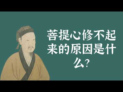 菩提心修不起来的原因是什么？——菩提心 出离心 三苦