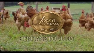 Joyce Farms Heritage Poultry