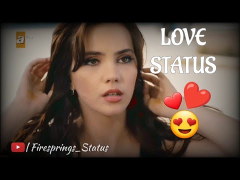 Working With Love ❤ | Love Birds | Romantic WhatsApp Clip | First Sight Love 😍