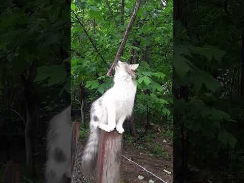 Sophie talks to a bird